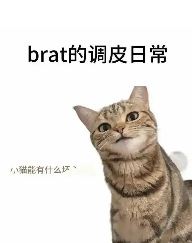 西檬之家-字母圈新人入圈指南：全面解析BDSM核心术语