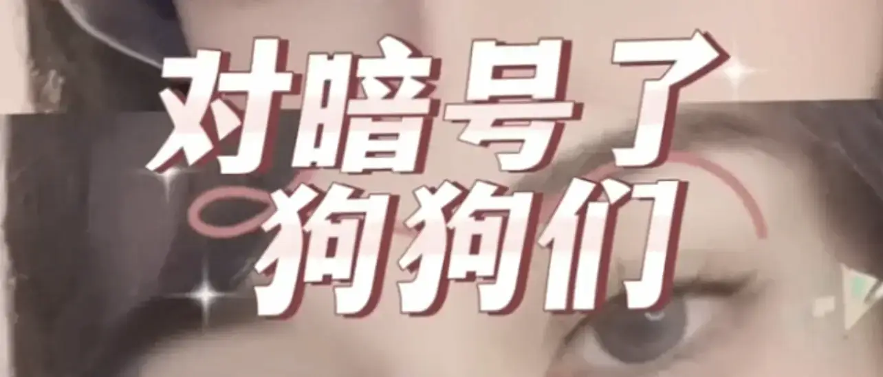 西檬之家-字母圈新人入圈指南：从基础知识到核心术语解析