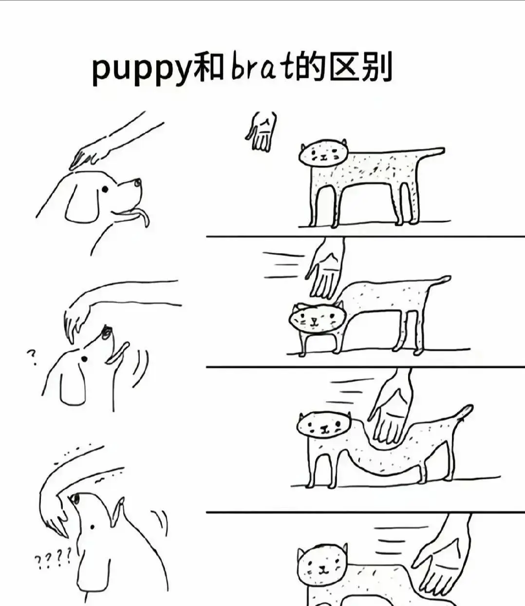 西檬之家-字母圈的PE是什么意思？