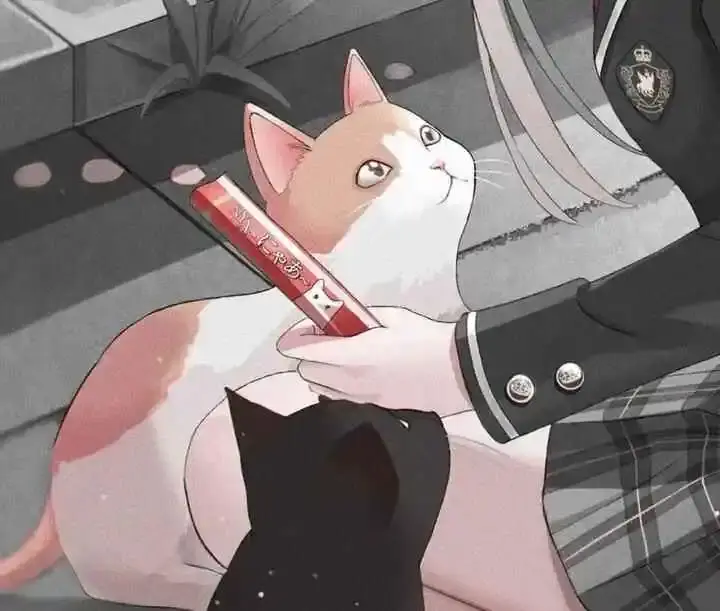 西檬之家-字母圈新人入圈指南