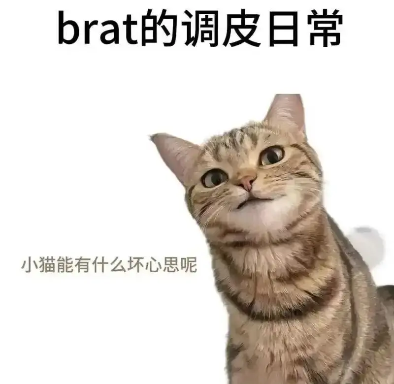 西檬之家-斯慕圈新手指南：从基础术语到安全实践，开启BDSM探索之旅