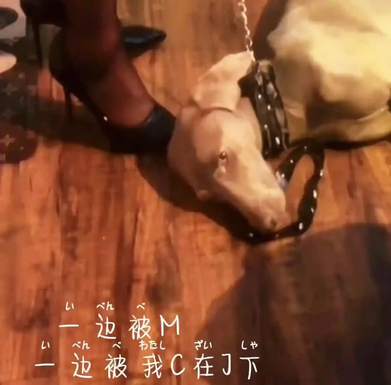 西檬之家-大圈新人入圈指南