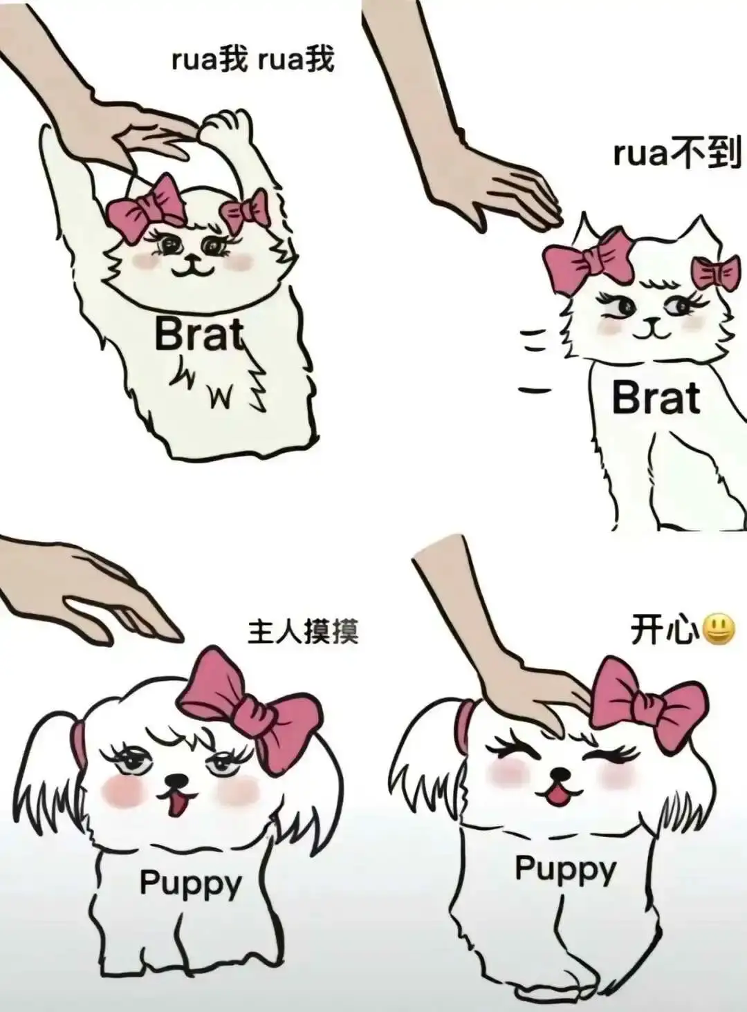 西檬之家-BDSM新人入圈指南：核心术语解析